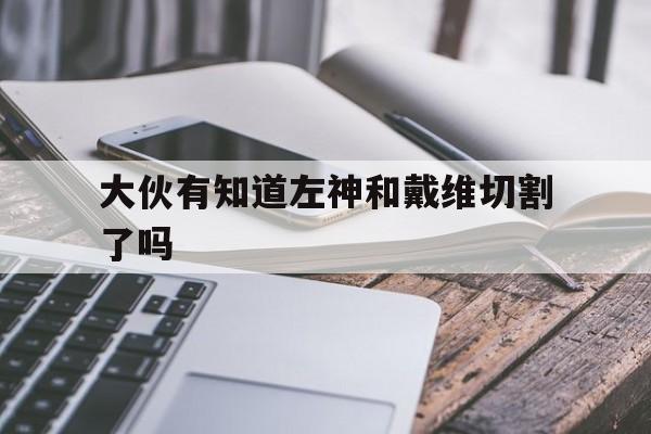 大伙有知道左神和戴维切割了吗(大伙有知道左神和戴维切割了吗是哪一集)
